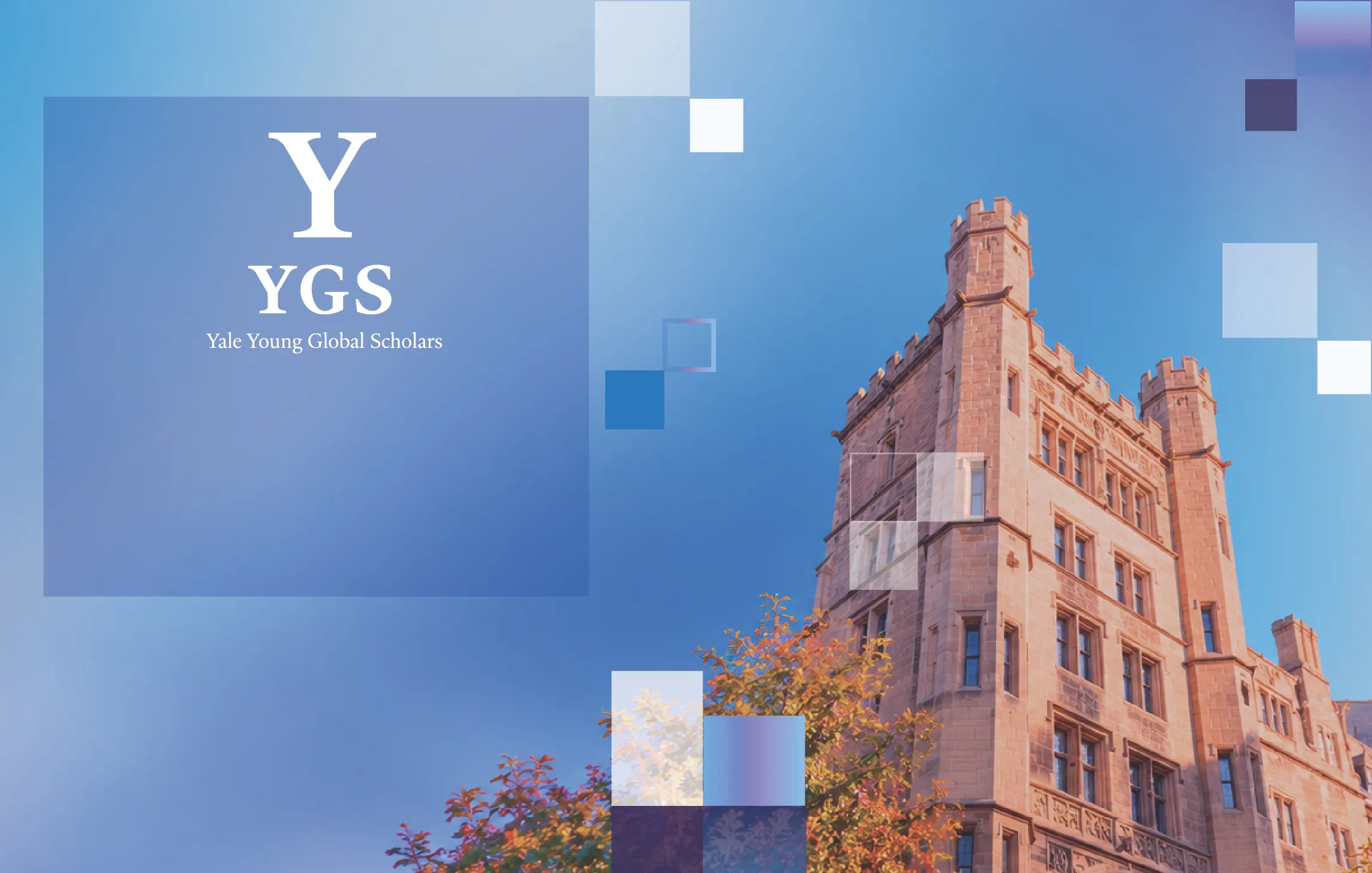 Yale_webbaners_Yale 5 (1)