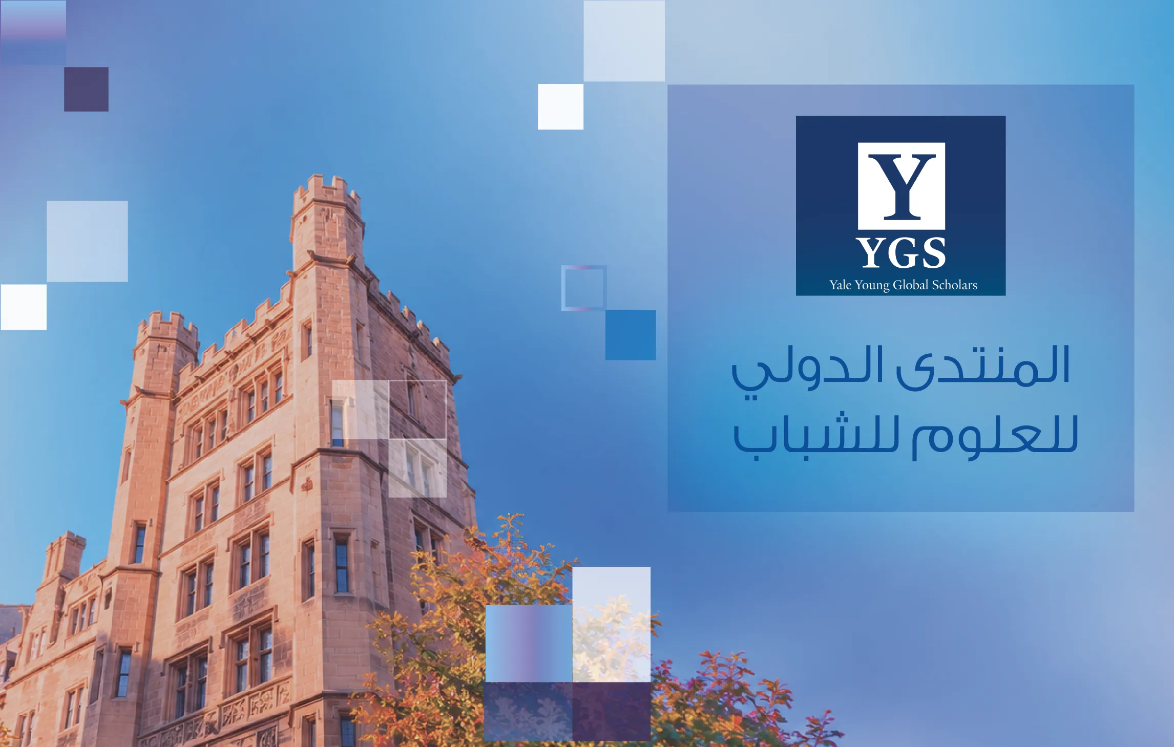 Yale_webbaners_Yale 6