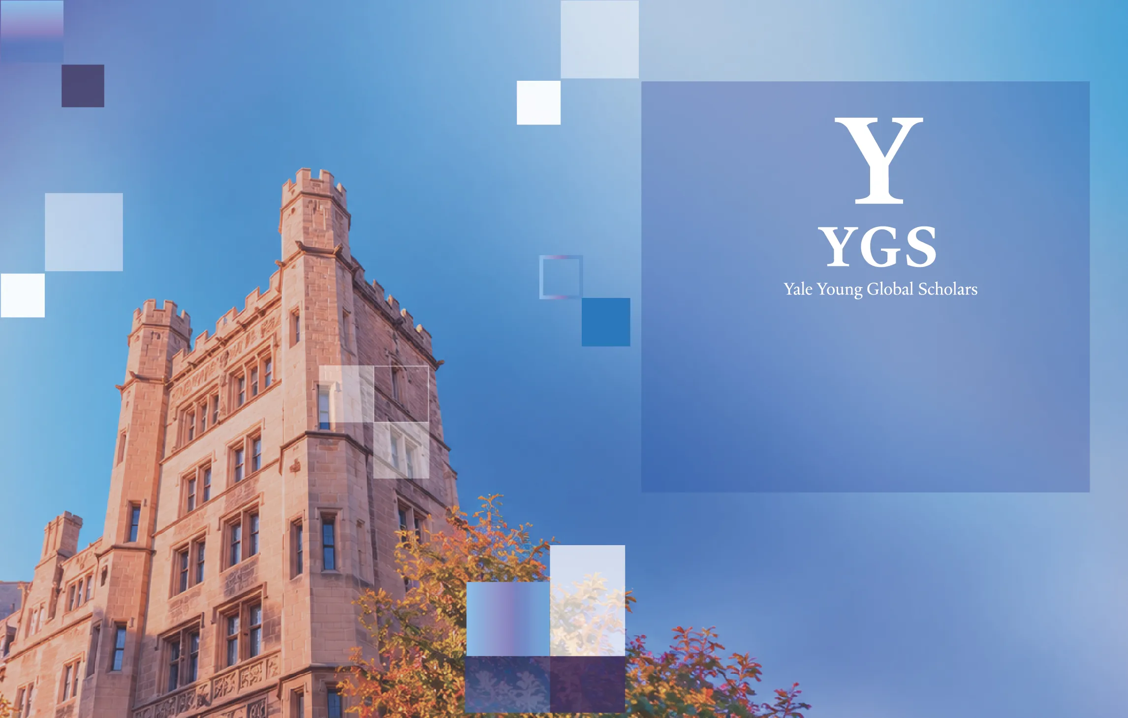 Yale_webbaners_Yale 6