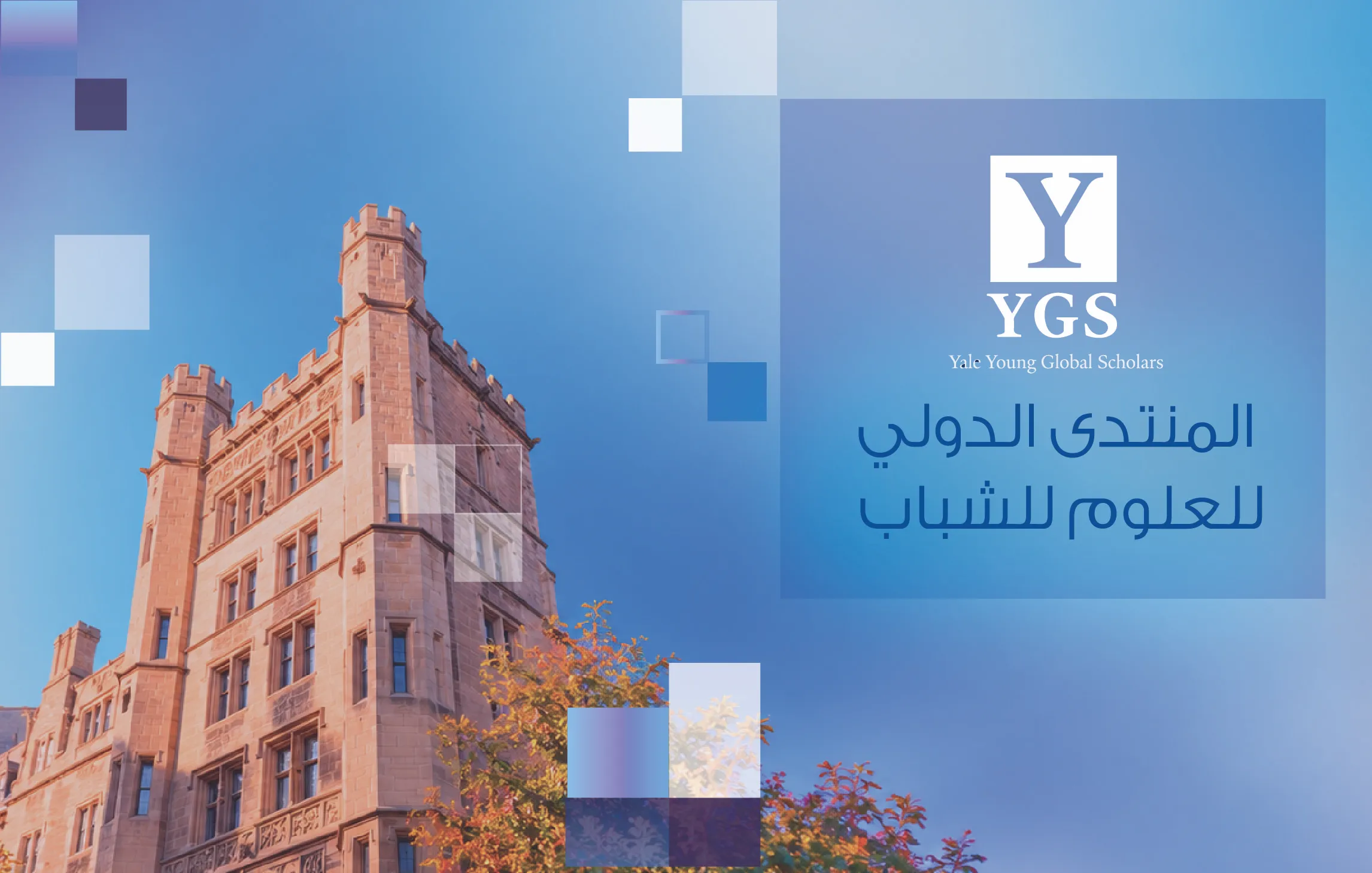 Yale_webbaners_Yale 6